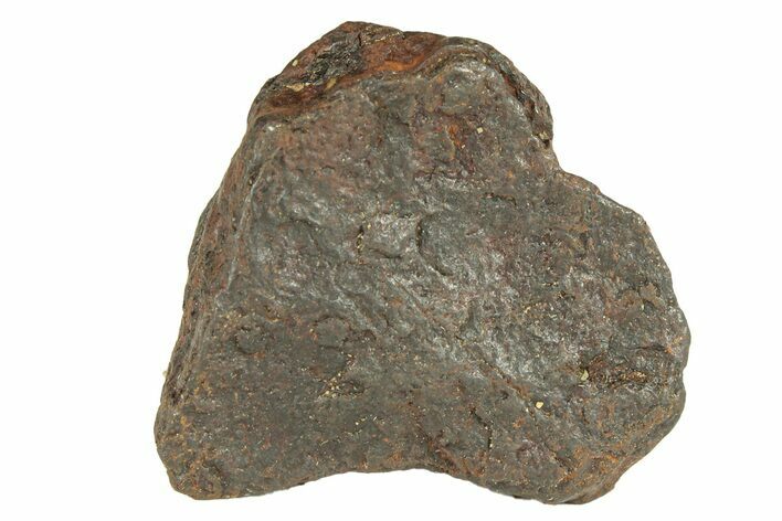 Canyon Diablo Iron Meteorite ( g) - Arizona #270769